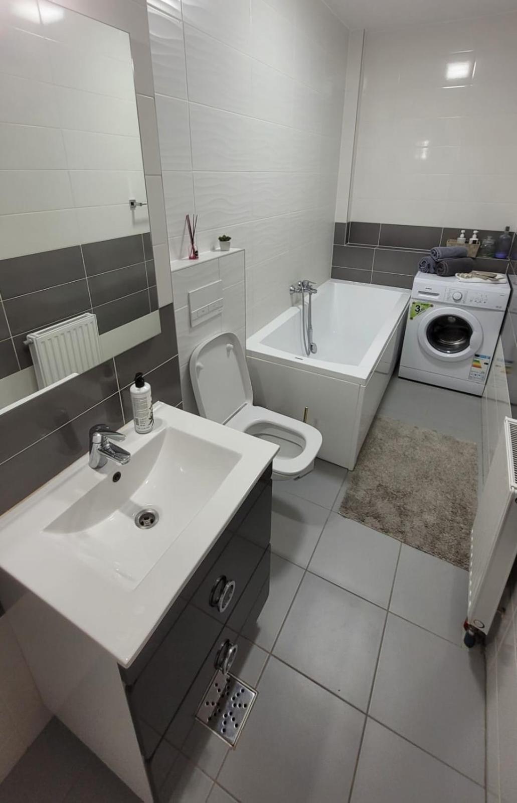 Studio Fortuna Park Сфинту-Ґеорґе Екстер'єр фото